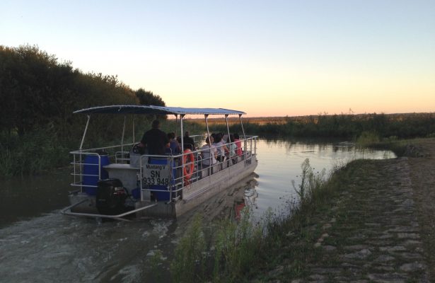 Croisières sur l'estuaire de la Loire