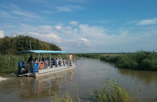 bateau à fond plat Croisières TERRE D'ESTUAIRE