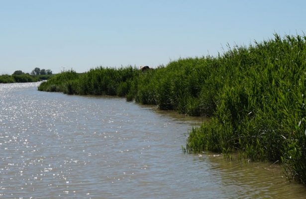 paysages estuaire de la Loire