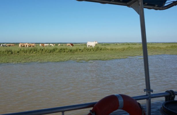 paysages estuaire de la Loire