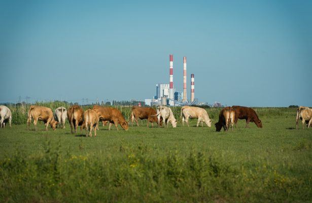 paysages Lavau sur Loire