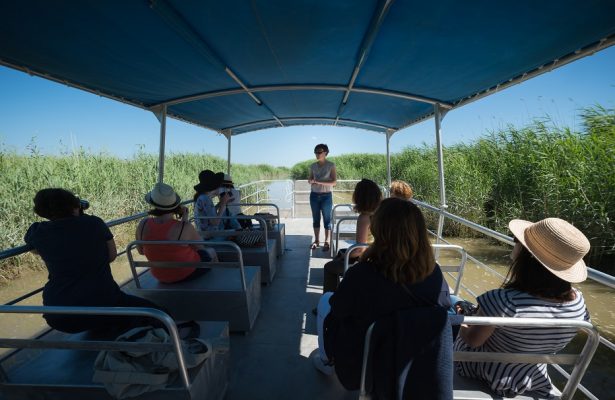Croisière sur l'estuaire de la Loire