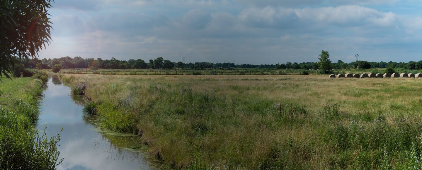 paysage estuaire de la Loire